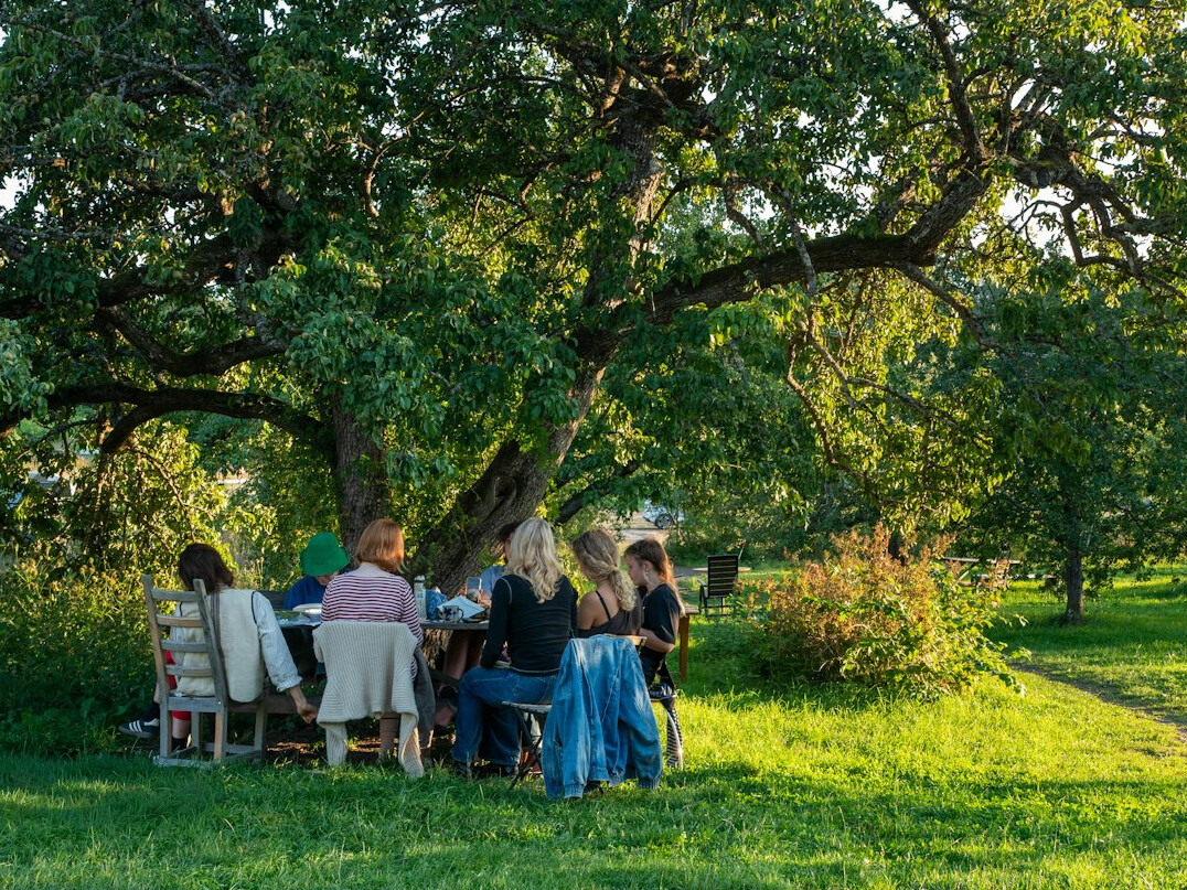 family gathering outdoors
